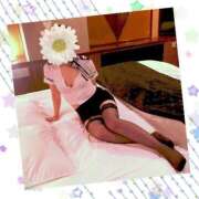 ヒメ日記 2025/08/19 21:05 投稿 るい 待ちナビ