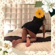 ヒメ日記 2025/11/09 09:45 投稿 るい 待ちナビ