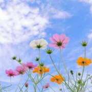 ヒメ日記 2025/12/14 11:15 投稿 るい 待ちナビ