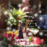 ヒメ日記 2024/12/16 17:35 投稿 れいこ 待ちナビ