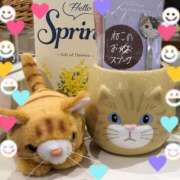 ヒメ日記 2025/03/07 18:30 投稿 れいこ 待ちナビ