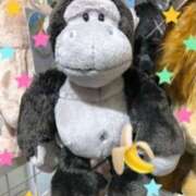 ヒメ日記 2025/03/19 11:58 投稿 れいこ 待ちナビ