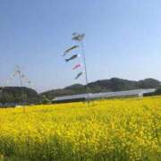 ヒメ日記 2025/03/22 15:45 投稿 れいこ 待ちナビ