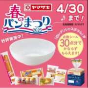 ヒメ日記 2025/04/13 12:30 投稿 れいこ 待ちナビ