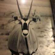 ヒメ日記 2025/04/15 14:05 投稿 れいこ 待ちナビ