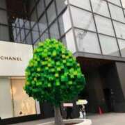 ヒメ日記 2025/04/25 12:24 投稿 れいこ 待ちナビ