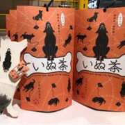 ヒメ日記 2025/06/20 17:55 投稿 れいこ 待ちナビ