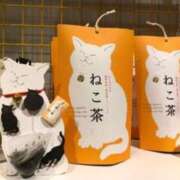 ヒメ日記 2025/06/22 12:05 投稿 れいこ 待ちナビ