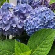 ヒメ日記 2025/06/25 16:10 投稿 れいこ 待ちナビ