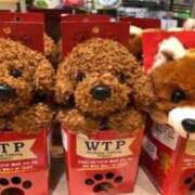 ヒメ日記 2025/09/20 11:45 投稿 れいこ 待ちナビ