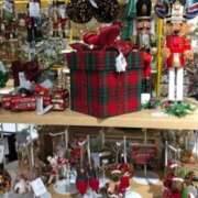 ヒメ日記 2025/12/17 14:05 投稿 れいこ 待ちナビ