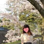 ヒメ日記 2026/04/07 14:40 投稿 れいこ 待ちナビ