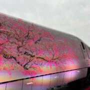 ヒメ日記 2026/04/13 09:05 投稿 れいこ 待ちナビ