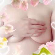 ヒメ日記 2025/04/18 09:49 投稿 あんな 横浜駅前M性感rooM