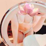 ヒメ日記 2024/12/19 14:50 投稿 きよか 東京デザインリング錦糸町店