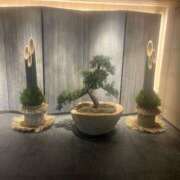 ヒメ日記 2025/01/01 14:09 投稿 きよか 東京デザインリング錦糸町店