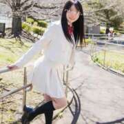 ヒメ日記 2024/12/11 14:32 投稿 ななこ スイカ