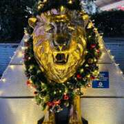 ヒメ日記 2024/12/22 20:28 投稿 ななこ スイカ