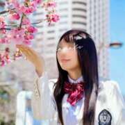 ヒメ日記 2025/01/27 13:17 投稿 ななこ スイカ