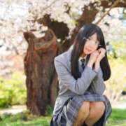 ヒメ日記 2025/04/05 16:26 投稿 ななこ スイカ