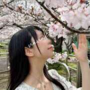 ヒメ日記 2025/04/08 01:10 投稿 ななこ スイカ