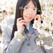 ヒメ日記 2025/04/09 23:51 投稿 ななこ スイカ