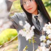 ヒメ日記 2025/04/30 12:42 投稿 ななこ スイカ