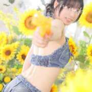 ヒメ日記 2025/05/23 01:13 投稿 ななこ スイカ