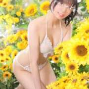 ヒメ日記 2025/05/31 23:12 投稿 ななこ スイカ