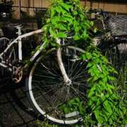 ヒメ日記 2025/07/13 01:06 投稿 ななこ スイカ