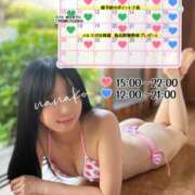 ヒメ日記 2025/07/31 20:40 投稿 ななこ スイカ