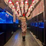 ヒメ日記 2025/10/24 16:30 投稿 ななこ スイカ