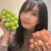 ヒメ日記 2025/11/23 08:24 投稿 ななこ スイカ