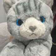 ヒメ日記 2026/02/22 17:21 投稿 ななこ スイカ