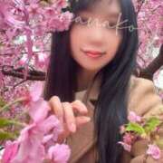 ヒメ日記 2026/03/02 13:44 投稿 ななこ スイカ