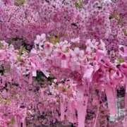 ヒメ日記 2026/03/03 12:33 投稿 ななこ スイカ