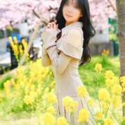 ヒメ日記 2026/04/11 11:44 投稿 ななこ スイカ