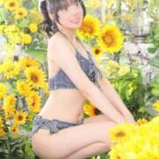 ヒメ日記 2026/06/14 00:48 投稿 ななこ スイカ