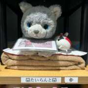 ヒメ日記 2026/08/05 13:06 投稿 ななこ スイカ