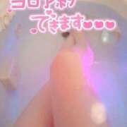 ヒメ日記 2025/10/30 09:30 投稿 あき 桃色奥様 松戸本店