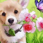 ヒメ日記 2026/04/01 13:05 投稿 あき 桃色奥様 松戸本店