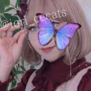 ヒメ日記 2025/03/19 08:07 投稿 いおり C.C.CATS