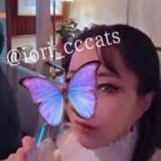 ヒメ日記 2025/03/20 18:27 投稿 いおり C.C.CATS