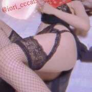 ヒメ日記 2025/03/27 22:06 投稿 いおり C.C.CATS