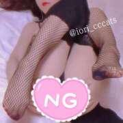 ヒメ日記 2025/03/31 22:27 投稿 いおり C.C.CATS