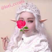 ヒメ日記 2025/04/01 21:46 投稿 いおり C.C.CATS