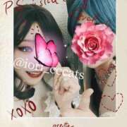 ヒメ日記 2025/04/02 12:26 投稿 いおり C.C.CATS