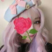 ヒメ日記 2025/04/07 22:26 投稿 いおり C.C.CATS