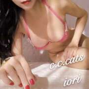 ヒメ日記 2025/04/10 08:06 投稿 いおり C.C.CATS