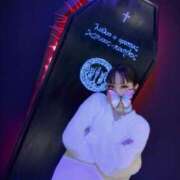 ヒメ日記 2025/04/13 19:45 投稿 いおり C.C.CATS